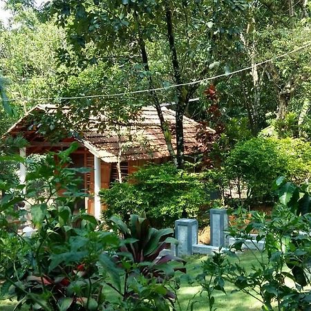 Leisure Vacations Whispering Woods Hotel Madikeri Zewnętrze zdjęcie