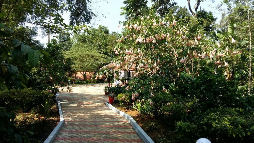 Leisure Vacations Whispering Woods Hotel Madikeri Zewnętrze zdjęcie