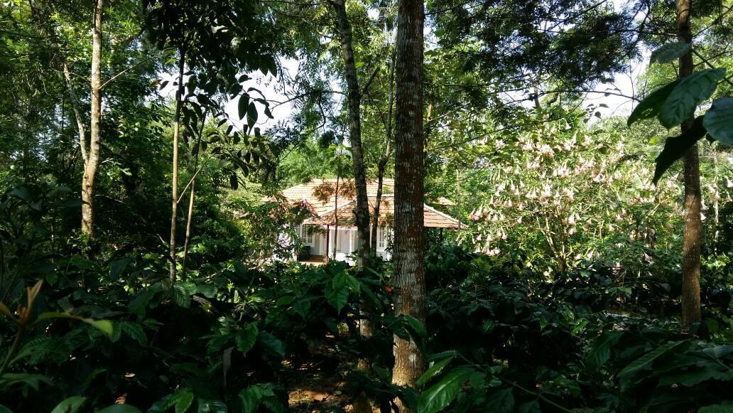 Leisure Vacations Whispering Woods Hotel Madikeri Zewnętrze zdjęcie