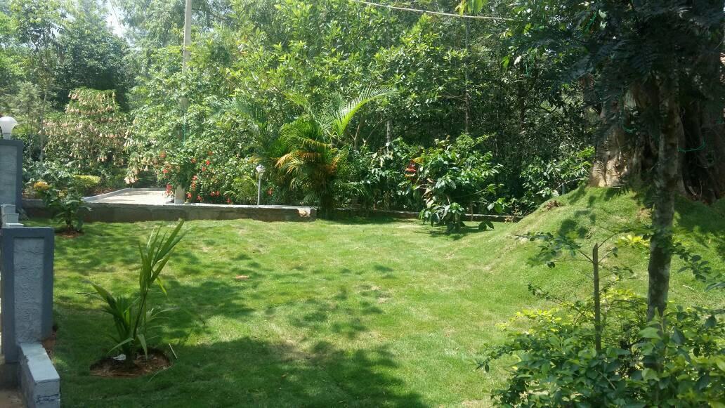 Leisure Vacations Whispering Woods Hotel Madikeri Zewnętrze zdjęcie